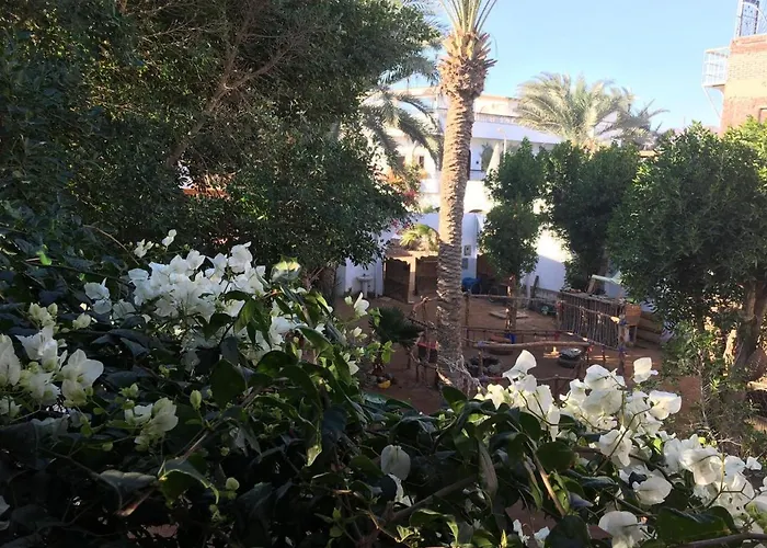 Sunrise 3* Dahab