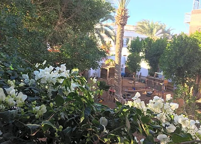Bed & Breakfast Sunrise